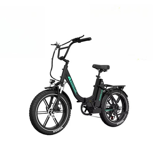 250W 48V 15.6Ah 20*4'' Tire Electric Bike 7 Speeds Folding E-bike