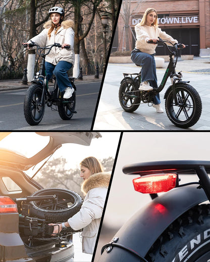 250W 48V 15.6Ah 20*4'' Tire Electric Bike 7 Speeds Folding E-bike