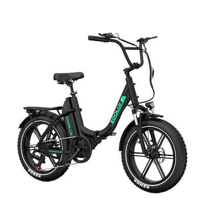 250W 48V 15.6Ah 20*4'' Tire Electric Bike 7 Speeds Folding E-bike