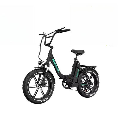 250W 48V 15.6Ah 20*4'' Tire Electric Bike 7 Speeds Folding E-bike